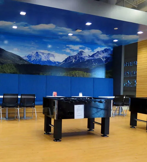 Walls and ceiling graphics